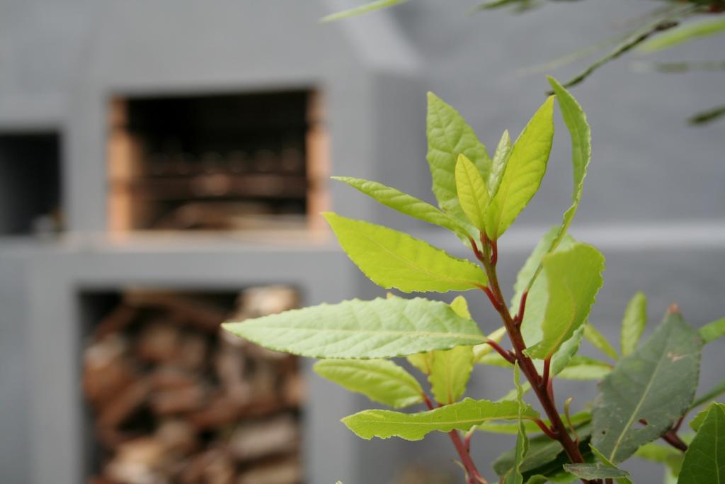 Casa Azul Natura Ponta Delgada  Ngoại thất bức ảnh
