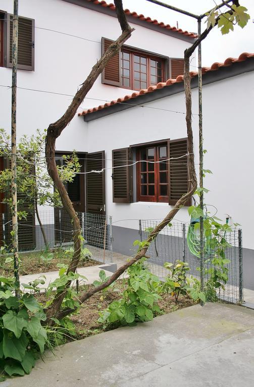 Casa Azul Natura Ponta Delgada  Ngoại thất bức ảnh